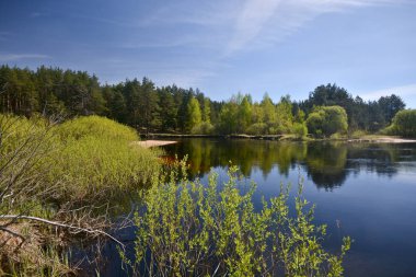 Milli park alanında 