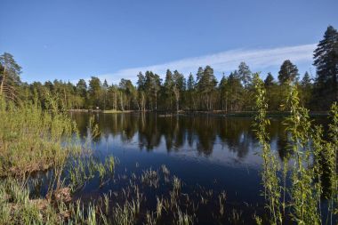 Milli park alanında 