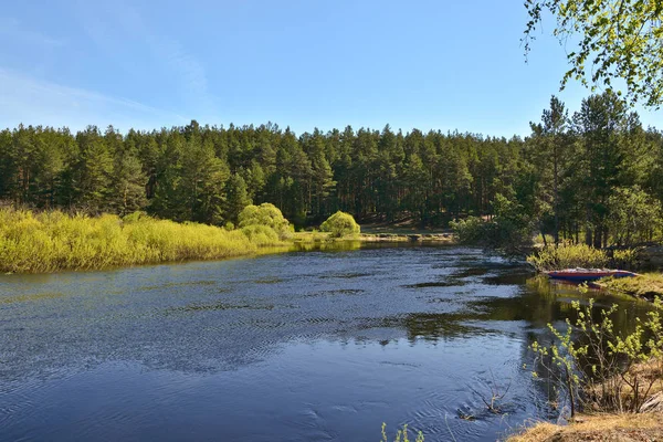 Lente in het nationaal park "Meshchersky", Centraal Rusland. — Stockfoto