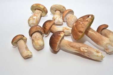 Beyaz mantar (Boletus mantarı). 
