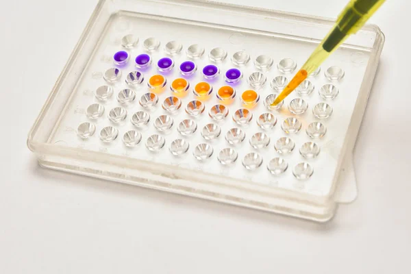 Adding a biological sample pipette. — Stock Photo, Image