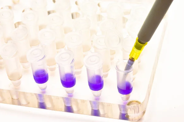 Adding a biological sample pipette. — Stock Photo, Image