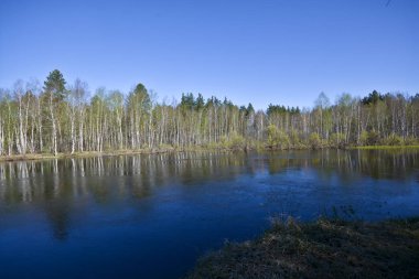 Bahar nehri manzarası. 