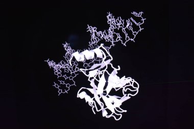 Araştırmada proteomik.