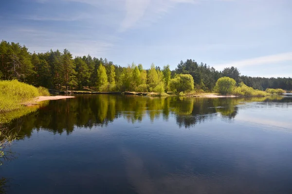 Manhã de primavera no rio da floresta . — Fotografia de Stock