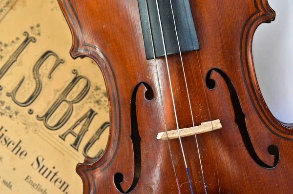 German ancient violin and notes. — Stock Photo, Image