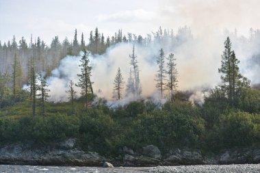 Orman yangınları. Sibirya.