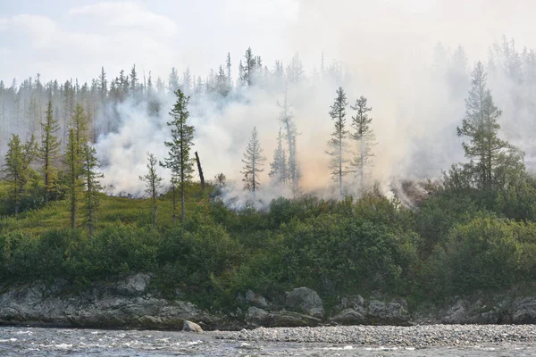 Orman yangınları. Sibirya. — Stok fotoğraf