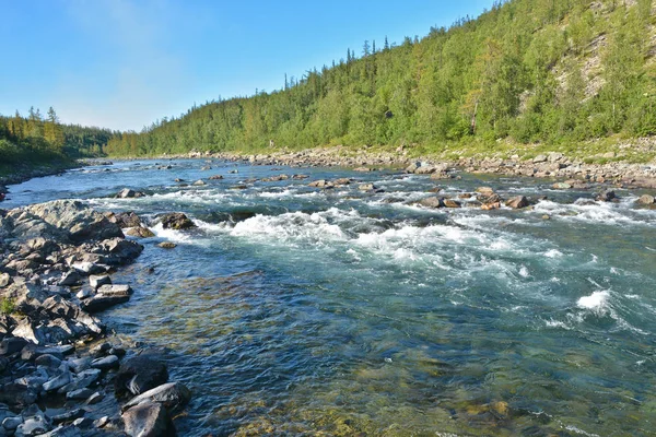 The rapids on a Northern river. — Stock Photo, Image