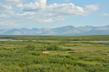 Tundra kutup Urallar ve ana Ural aralığı. 