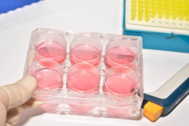 Biyolojik araştırma hücre teknolojileri. 