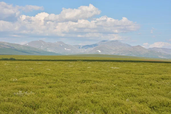 Tundra kutup Urallar ve ana Ural aralığı. 