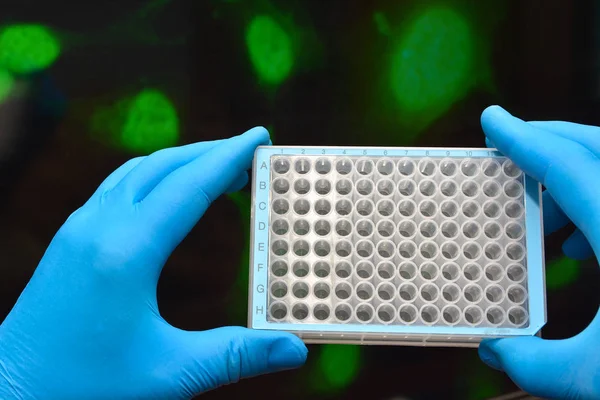 Tecnologías celulares en investigación biológica . — Foto de Stock