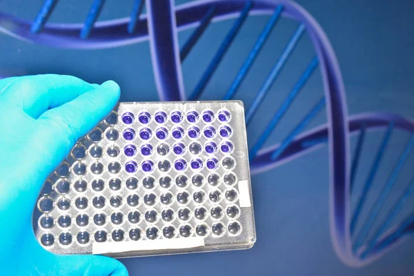 DNA, nükleotit dizisi. 