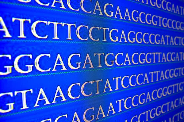 DNA, nükleotit dizisi. 