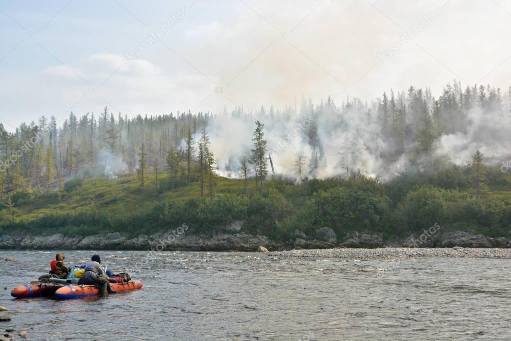 Forest fire in Siberia. 