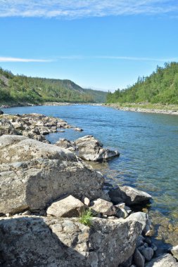 Yaz manzara, Kuzey Nehri. 