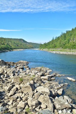 Yaz manzara, Kuzey Nehri. 