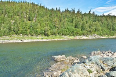 Yaz manzara, Kuzey Nehri. 