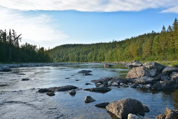 Nyári táj, a folyó északi. — Stock Fotó