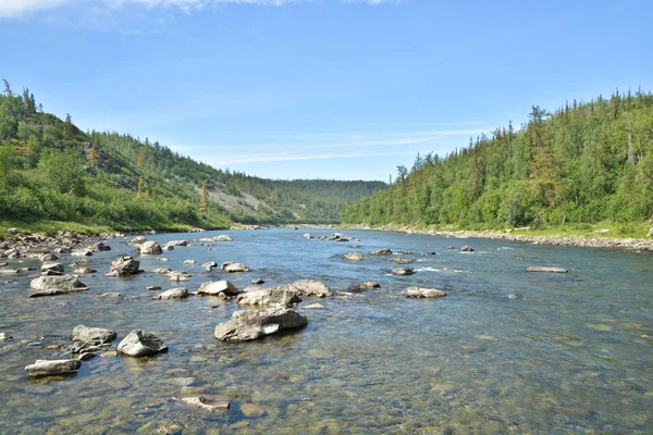 Yaz manzara, Kuzey Nehri. 