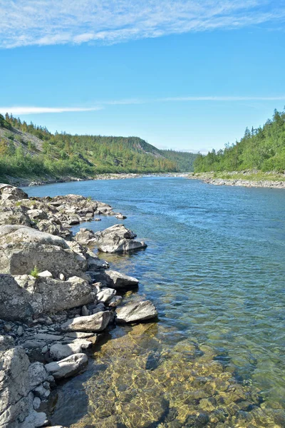 Letní krajina, Severní řeka. — Stock fotografie