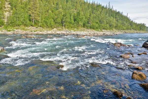 Forsen på en norra flod. — Stockfoto