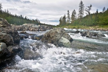 Dağ nehir Haramatalow Polar Urallarda. 