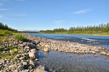 Dağ nehir Polar Urallarda Sob. 
