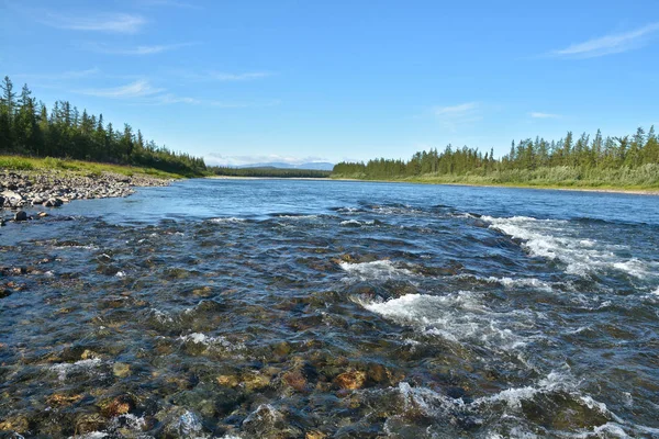 Bjergfloden hulker i Polar Ural . - Stock-foto