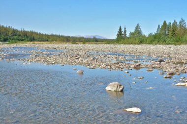 Kutup Urallar nehirde.