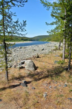 Kutup Urallar nehirde.