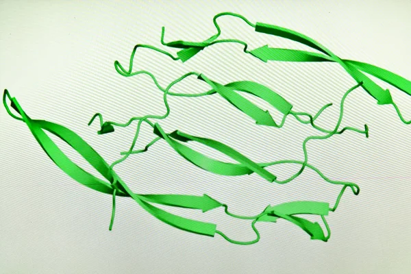 Structure of the protein molecule.