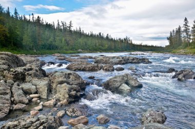 River rapids Polar Urallarda. 