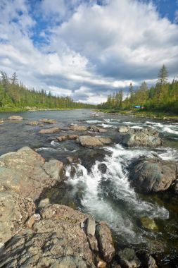 River rapids Polar Urallarda. 
