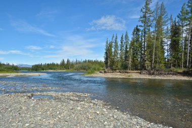 Kutup Urallarda temiz güzel nehir. 
