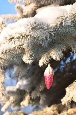 Kış - Noel ve yeni yıl. 