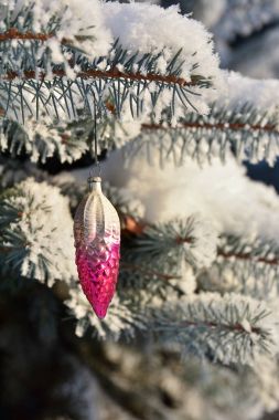 Kış - Noel ve yeni yıl. 