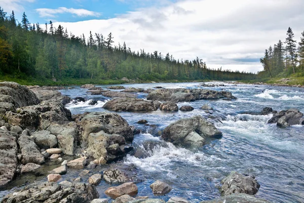 Floden forsar i Polar Ural. — Stockfoto