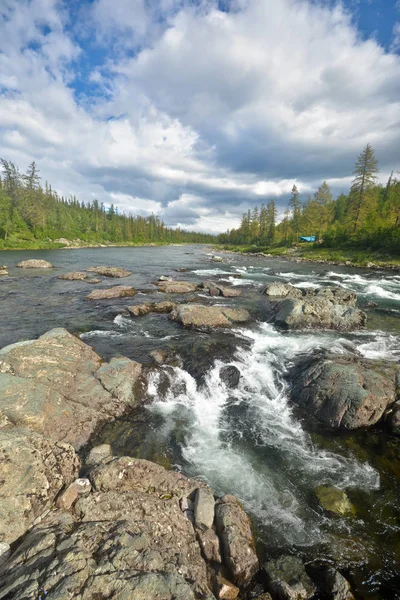 River rapids Polar Urallarda. 