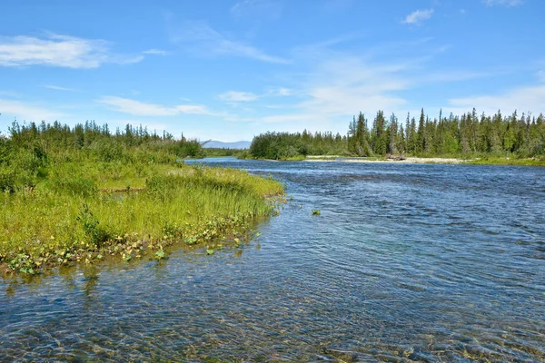 Kutup Urallarda temiz güzel nehir. 