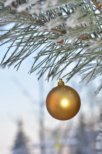 Winter - Kerst en Nieuwjaar. — Stockfoto