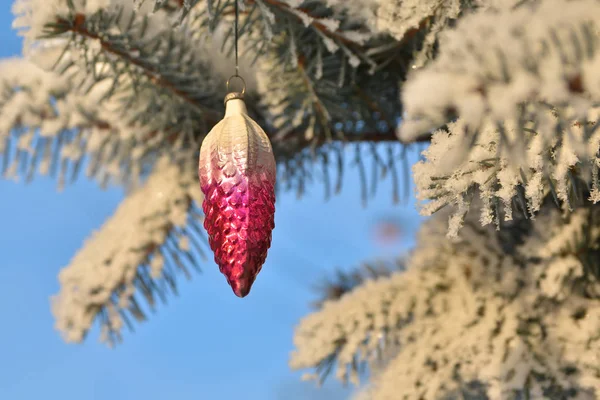Kış - Noel ve yeni yıl. 
