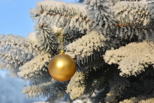 Inverno - Natale e Capodanno . — Foto Stock