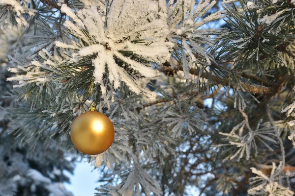 Invierno - Navidad y Año Nuevo . — Foto de Stock