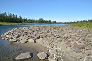 Yaz aylarında Polar Urallar, nehrin Sob. 