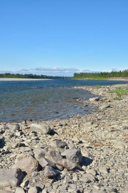 Yaz aylarında Polar Urallar, nehrin Sob. 