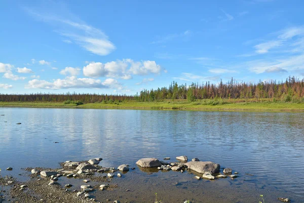 Northern river landscape. — Stock Photo, Image