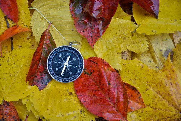 Compass in the rain on the leaves. — Stock Photo, Image