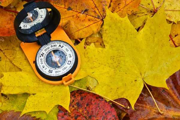 Kompas v dešti na listí. — Stock fotografie